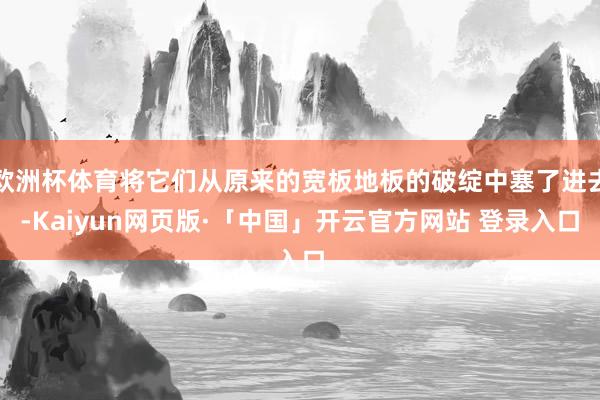 欧洲杯体育将它们从原来的宽板地板的破绽中塞了进去-Kaiyun网页版·「中国」开云官方网站 登录入口