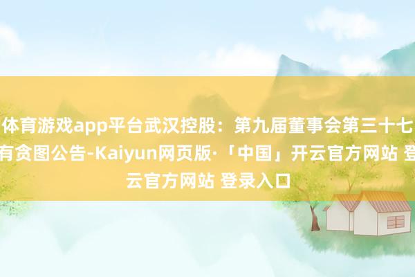 体育游戏app平台武汉控股：第九届董事会第三十七次会议有贪图公告-Kaiyun网页版·「中国」开云官方网站 登录入口